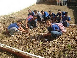 Reciclagem de nutrientes