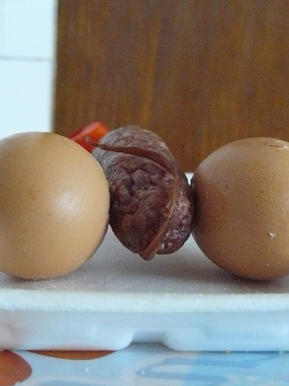 [P1090993.JPG]