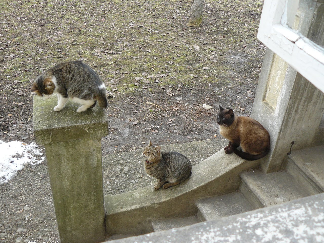 [P1100131.JPG]