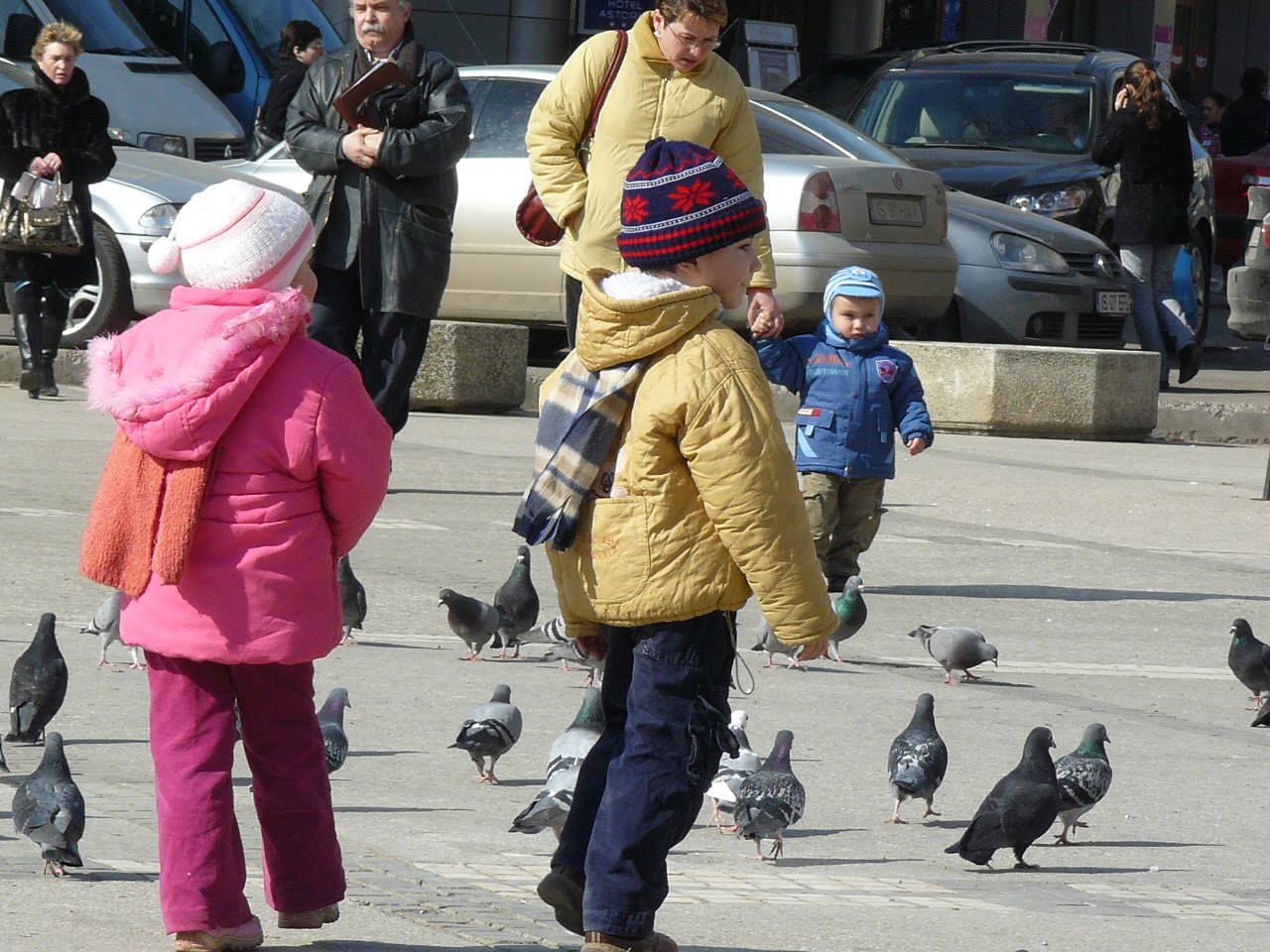 [P1100105.JPG]