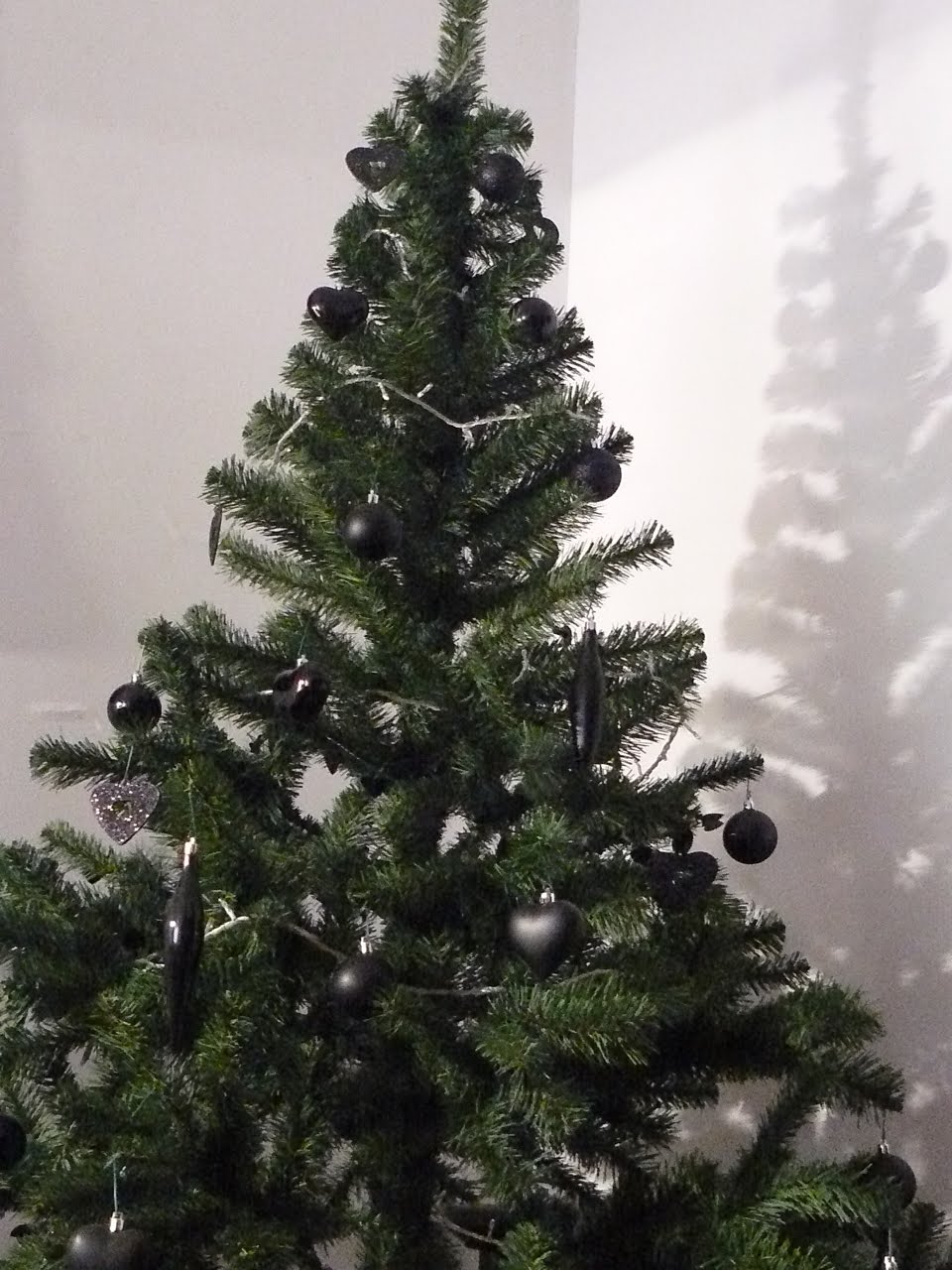 [P1100145.JPG]