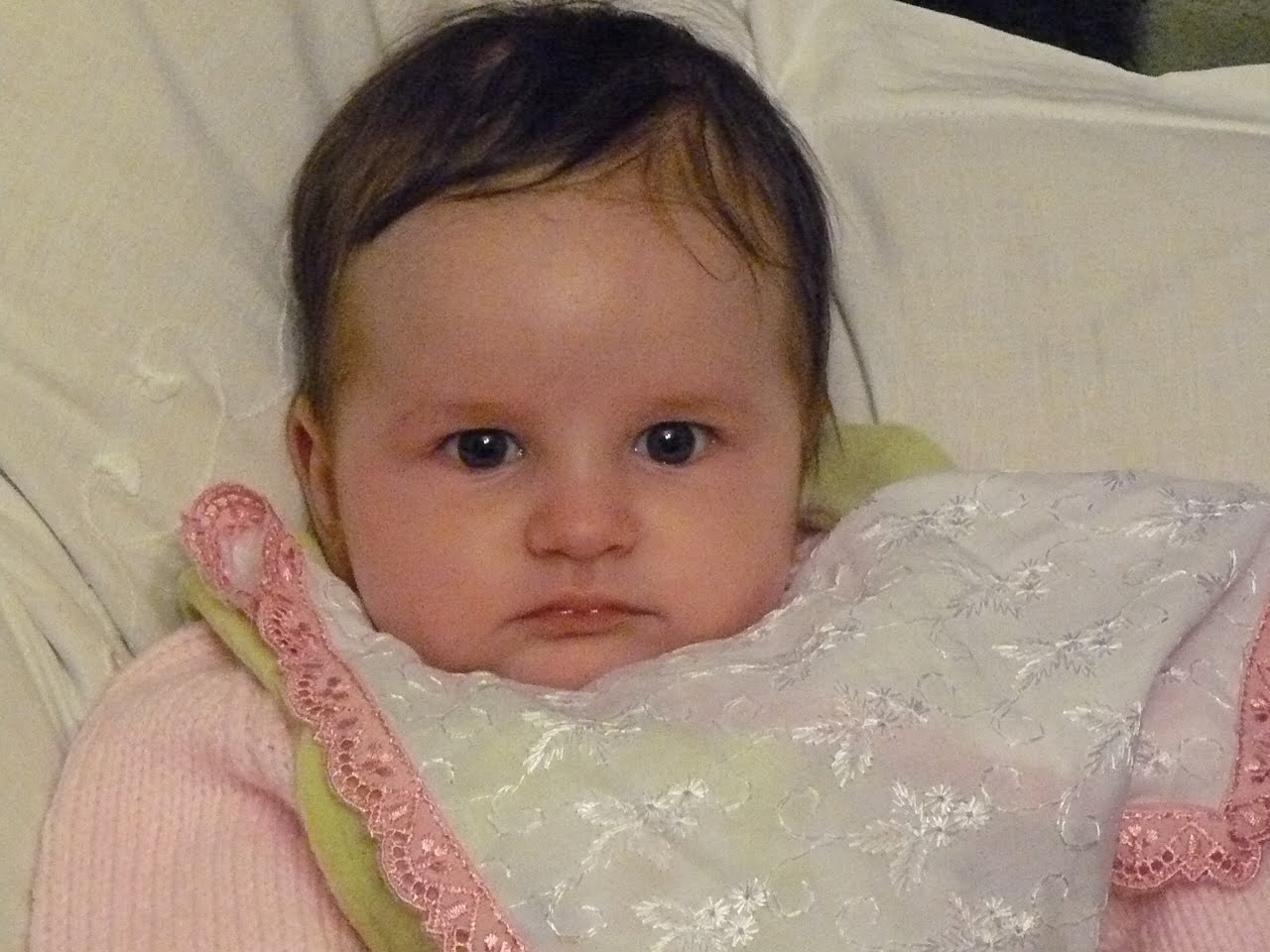 [P1090450.JPG]