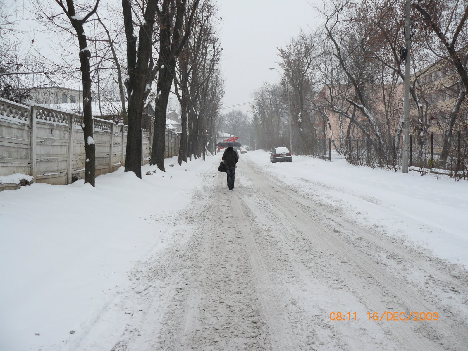 [P1080715.JPG]