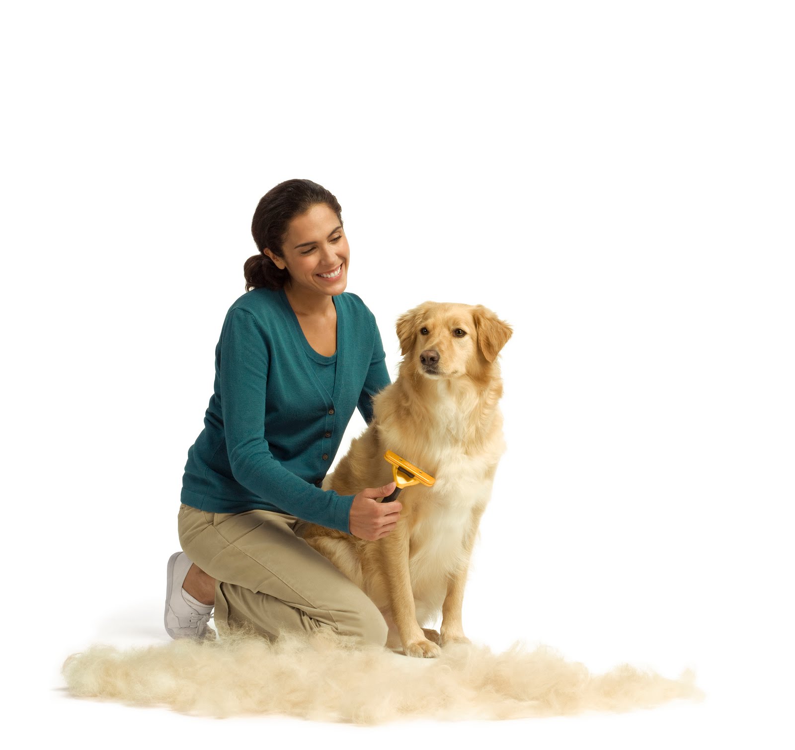 in heat in heat for dogs search engine at search in heat in heat for dogs search engine at search