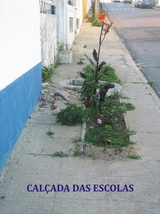 [CALÃ ADA.jpg]