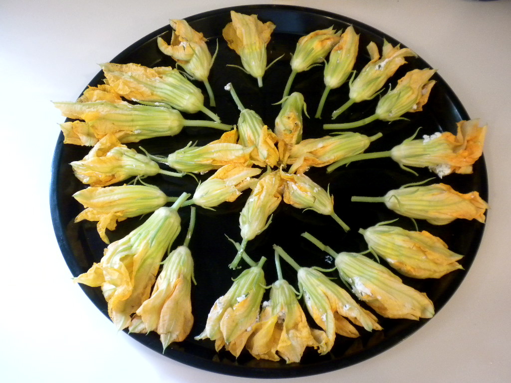 Life is Delicious Tempura Fried Squash Blossoms Stuffed with Goat Cheese and Served with a