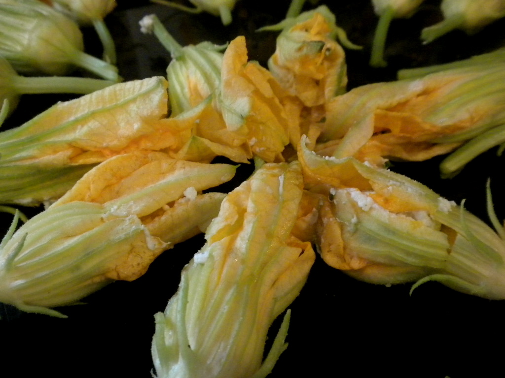 Life is Delicious Tempura Fried Squash Blossoms Stuffed with Goat