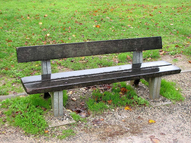 Bench under the rain, Piazza della Vittoria, Livorno