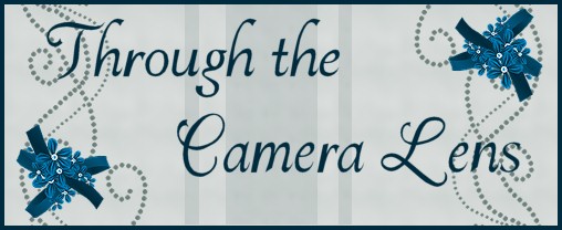 Through the Camera Lens