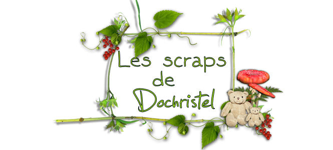 Les scraps de dochristel