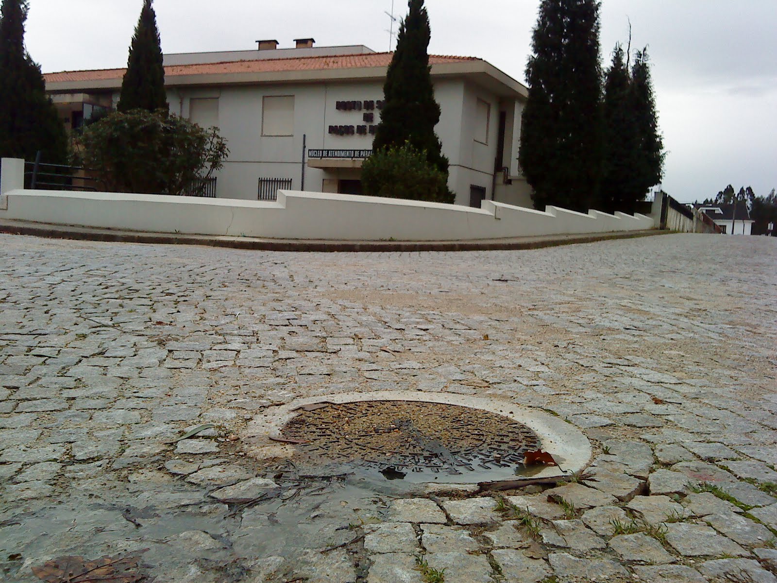[DSC00186.JPG]
