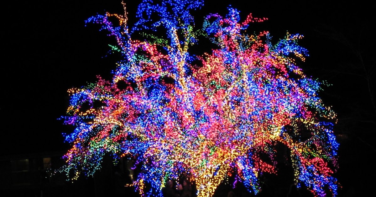 Six from Columbia Christmas Lights Around Columbia