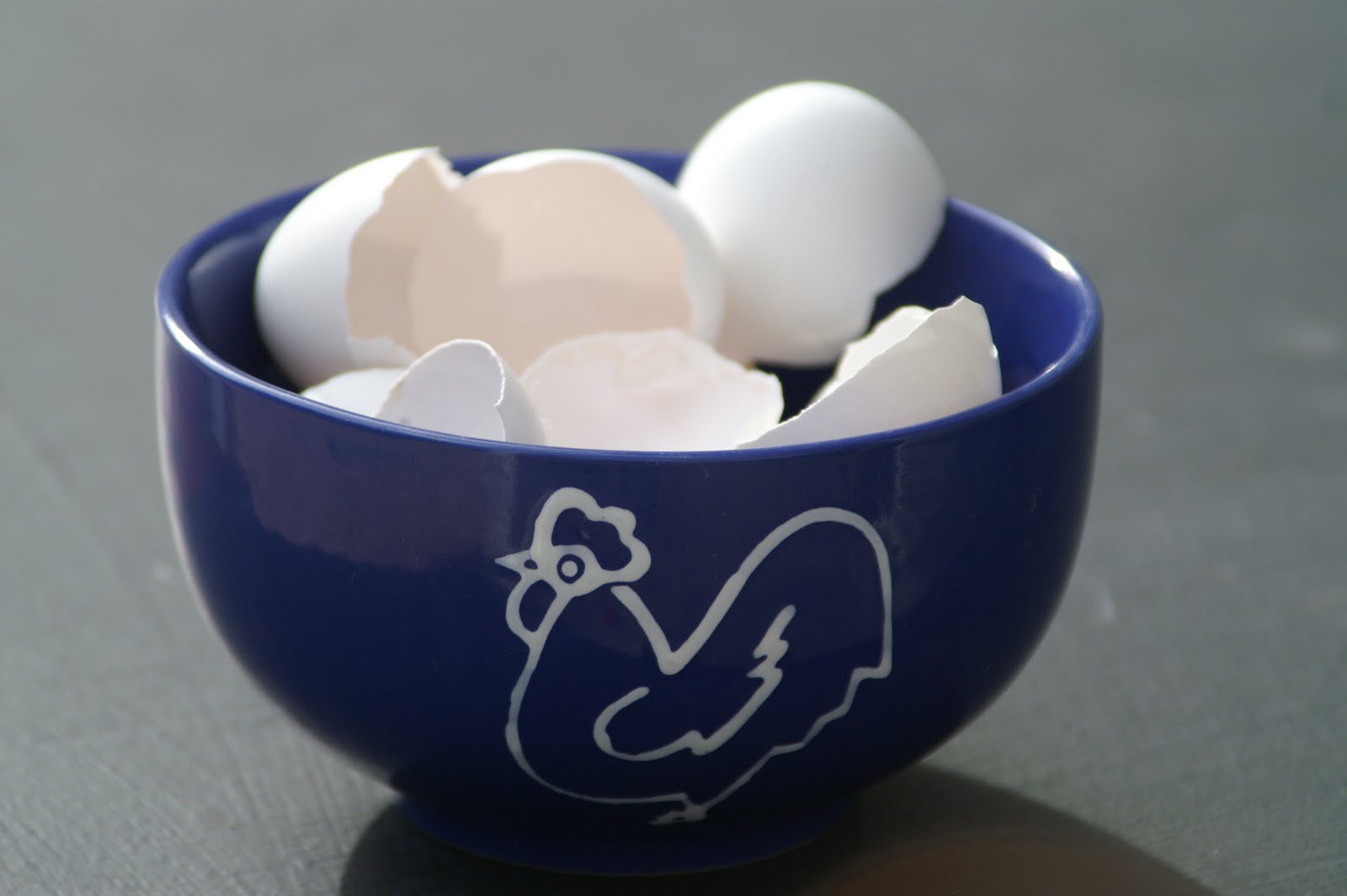 [March202010eggschillidrinkStephanhouse+004.jpg]