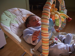 Sitting in his recliner enjoying the morning daylight (and stuffed animals)