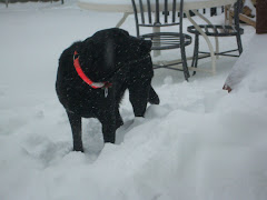 9 inches of snow on December 16th.