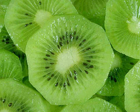 [kiwi.jpg]