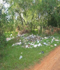 Zonas verdes contaminadas