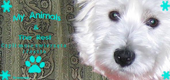 My animals & the rest