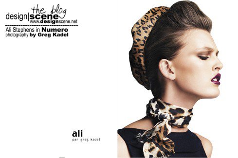 [Ali+Stephens+by+Greg+Kadel+01.JPG]