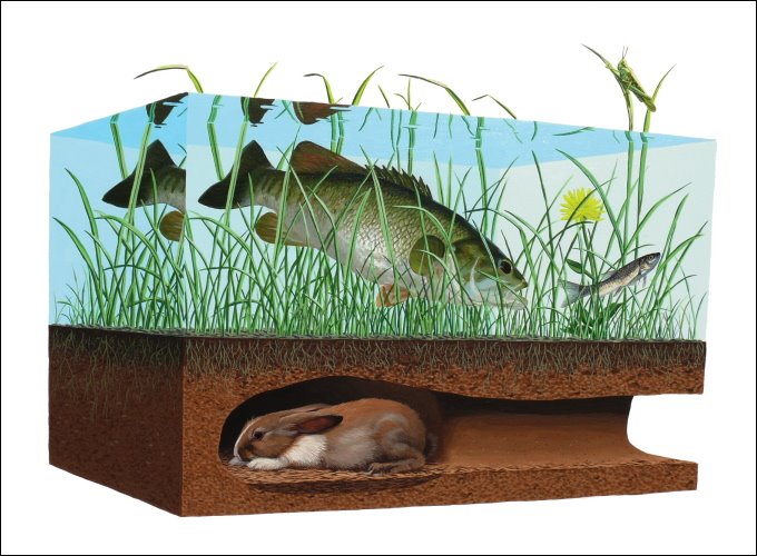 [Painting+by+Josh+Keyes+08.JPG]