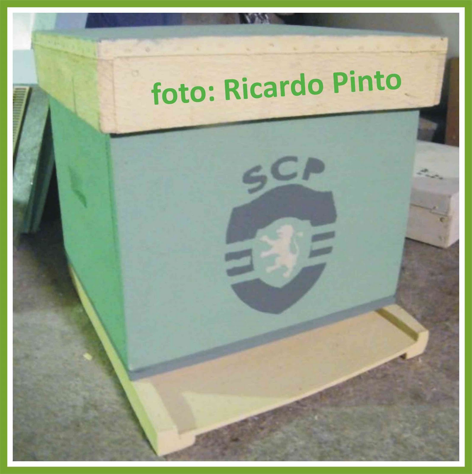 [colmeia_sporting.JPG]