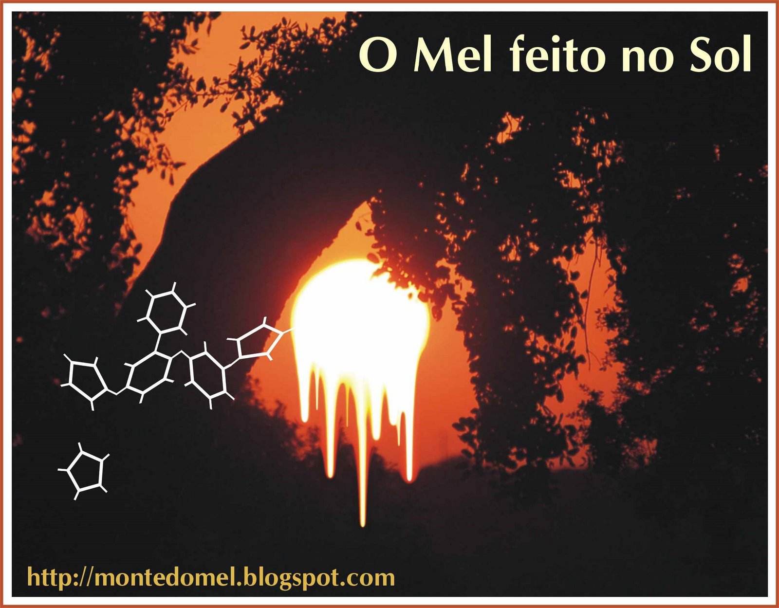 [sol+e+mel.jpg]