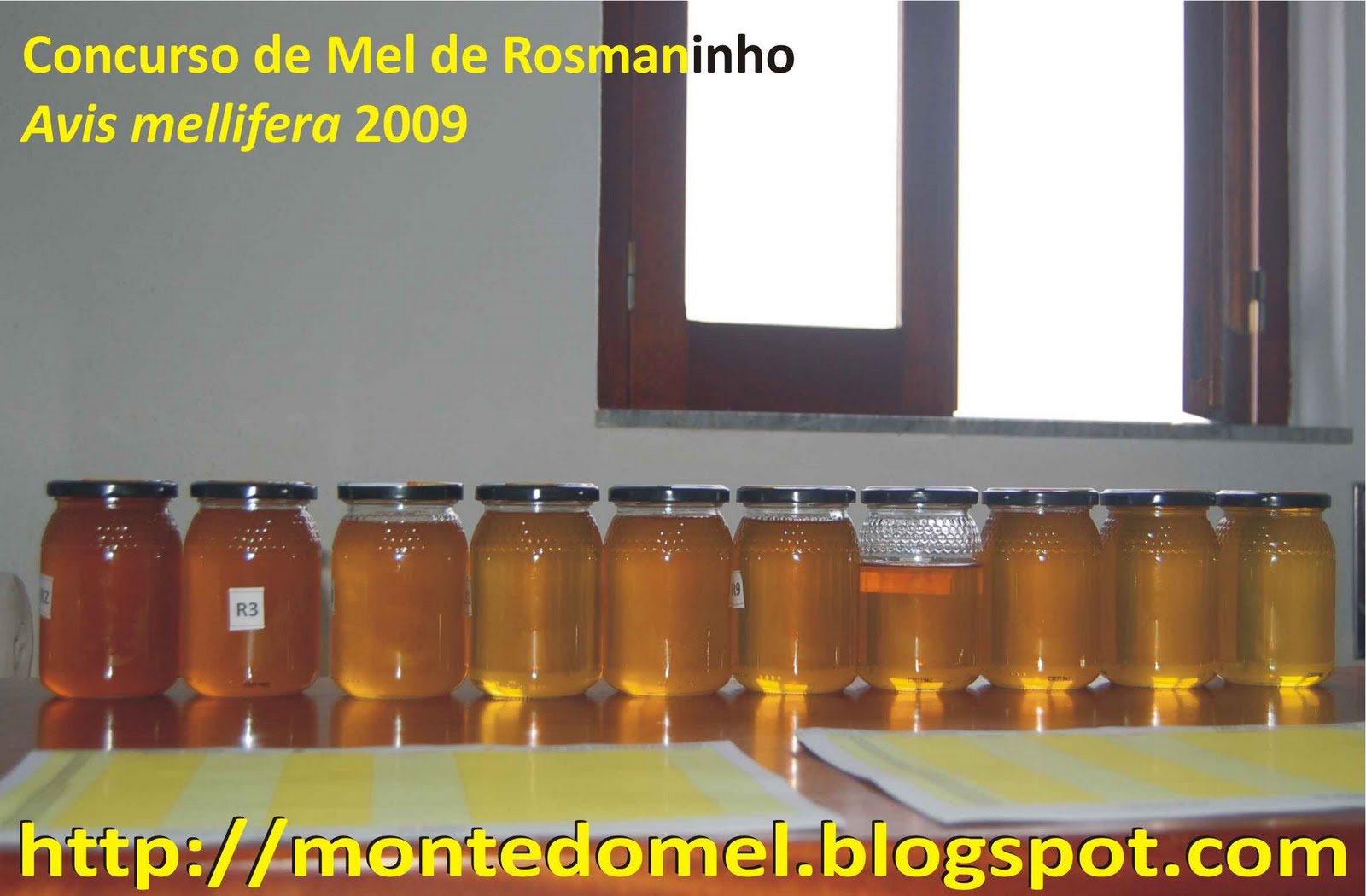 [mel_rosmaninho.JPG]