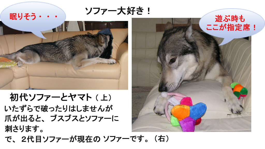 [sofa1.jpg]