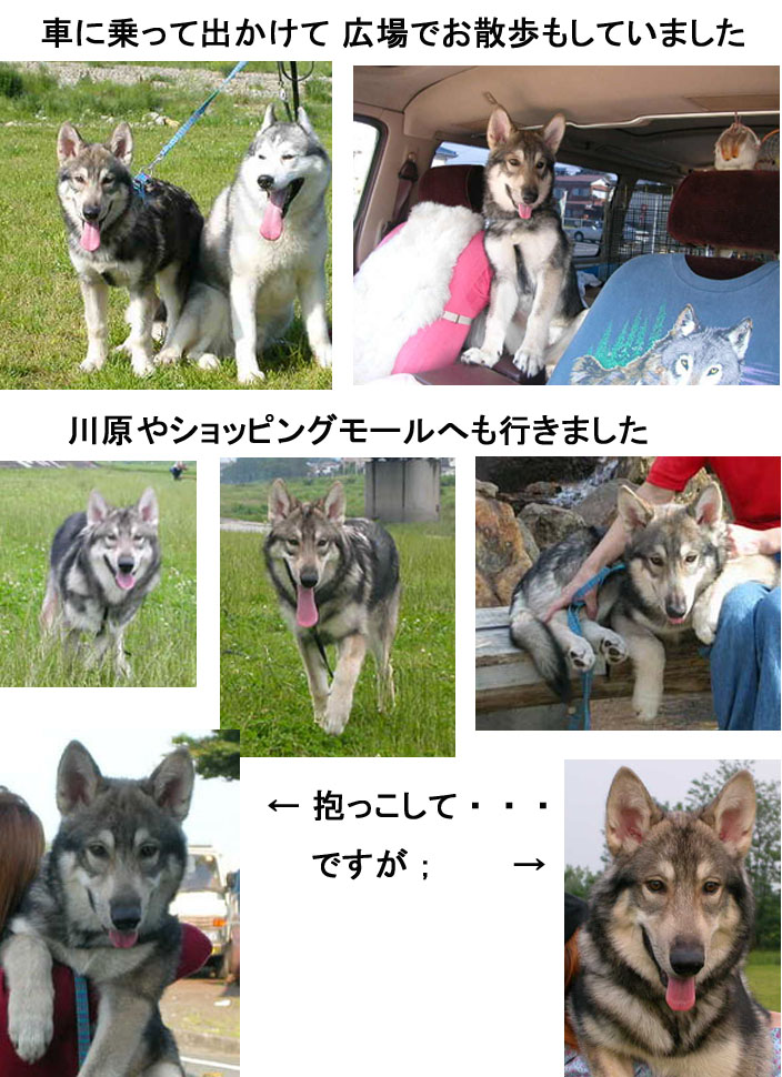 [7_17_3.jpg]
