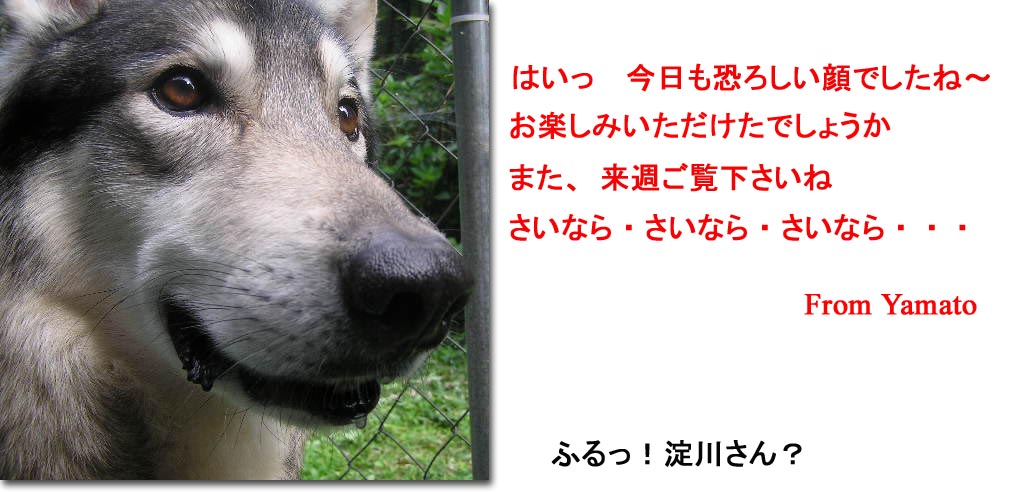 [7_13_5.jpg]