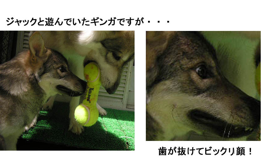 [8_4_2.jpg]
