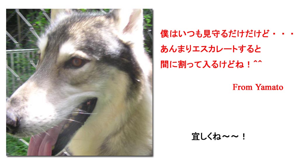 [8_28_3.jpg]