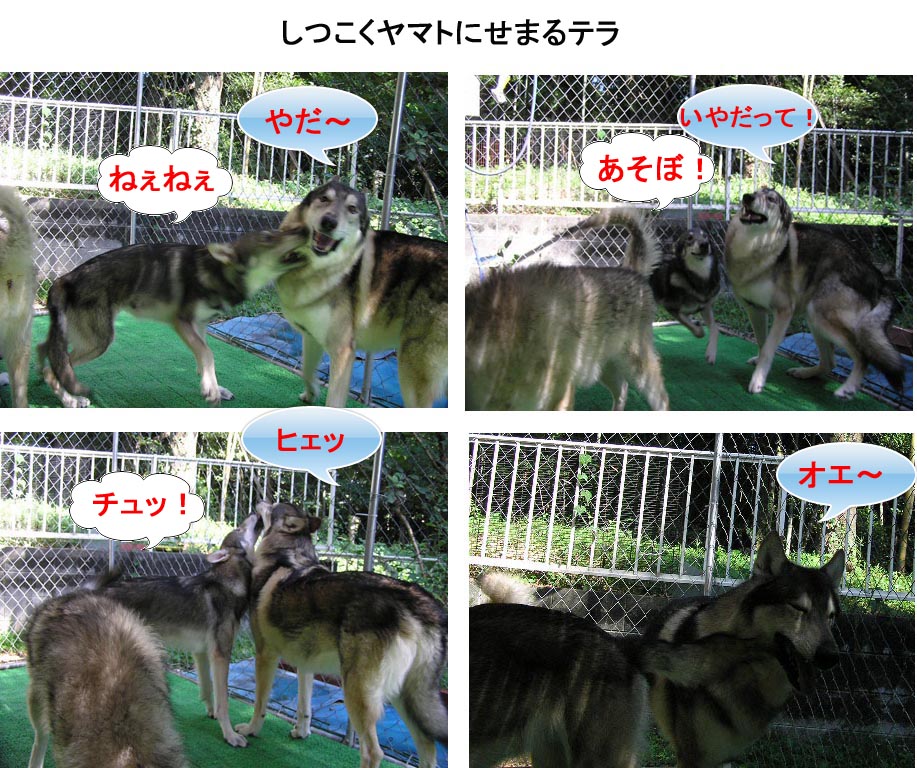 [19_1.jpg]