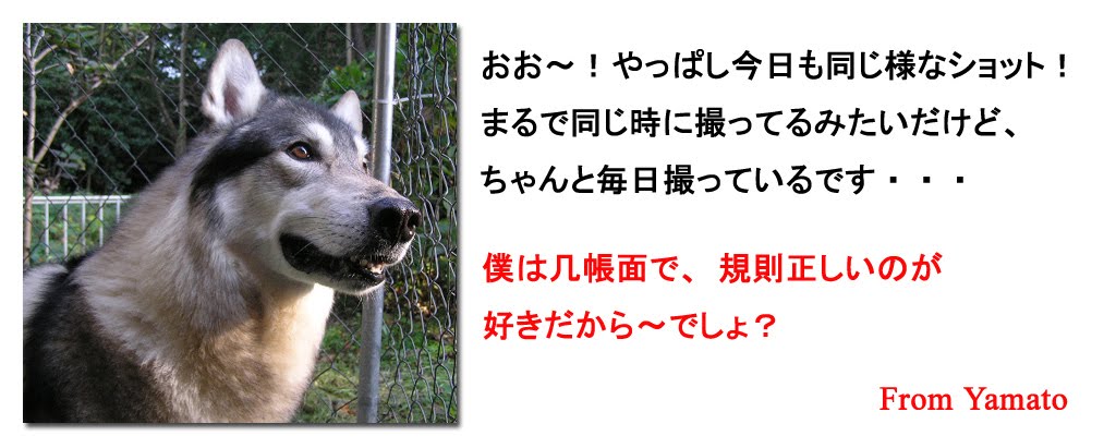 [1024_3.jpg]