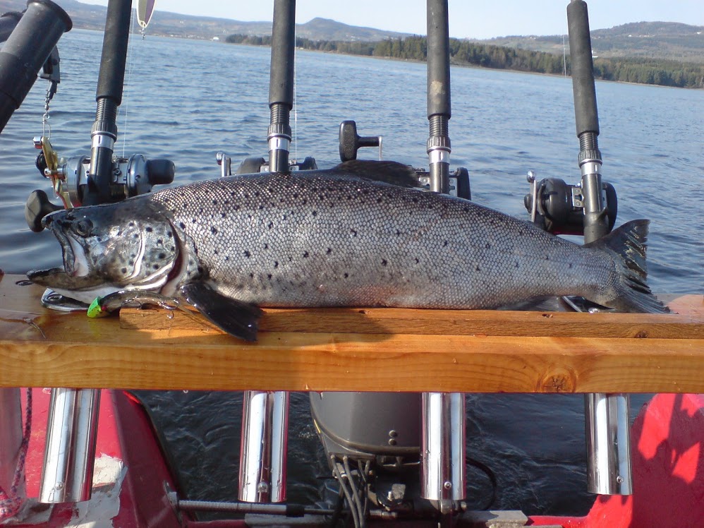 Mjøsa 1 mai 2009.