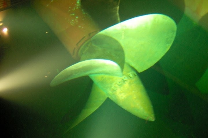 The Captain's Table: The Great Queen Mary Propeller Hunt