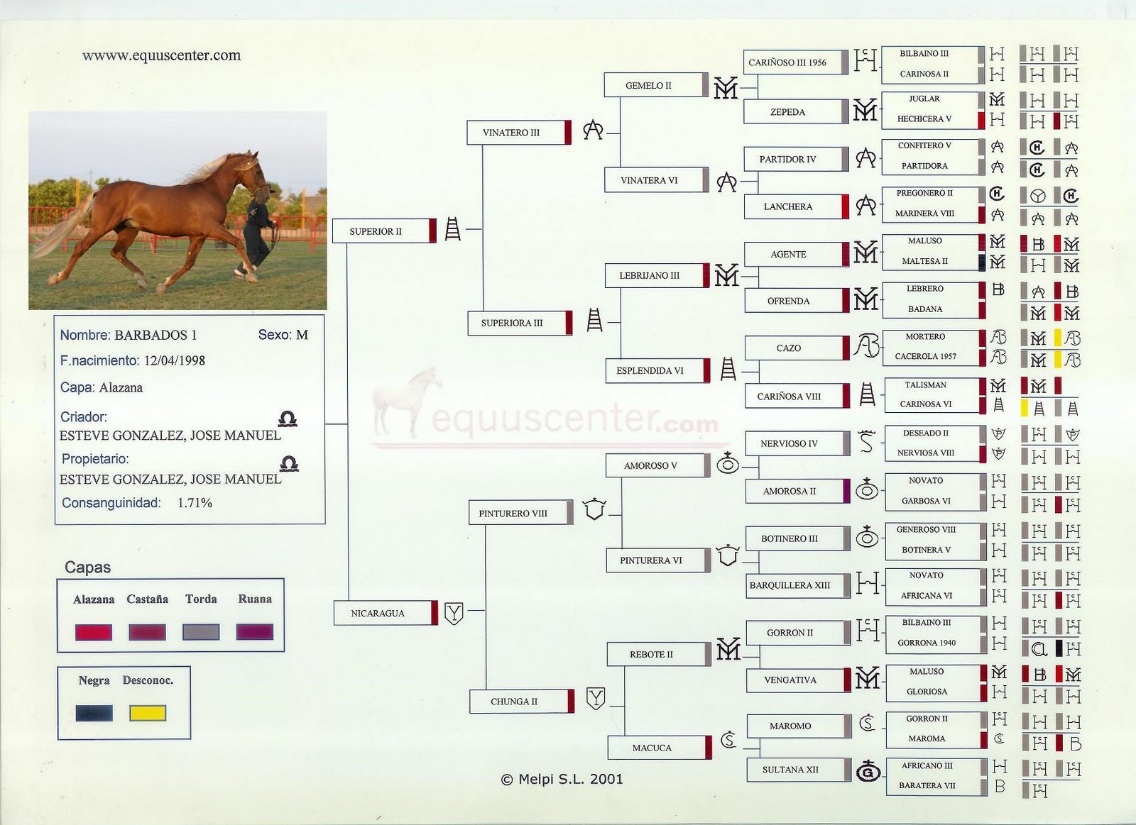 Ver Arbol Genealógico en Archivo del 19 de Abril de 2009