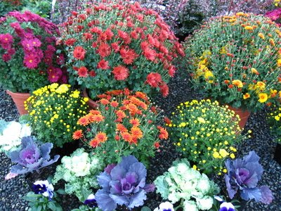 [IMG_3284.JPG]