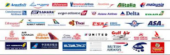 INTERNATIONAL  AIRLINES