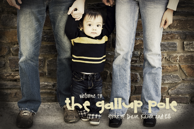 The Gallup Pole