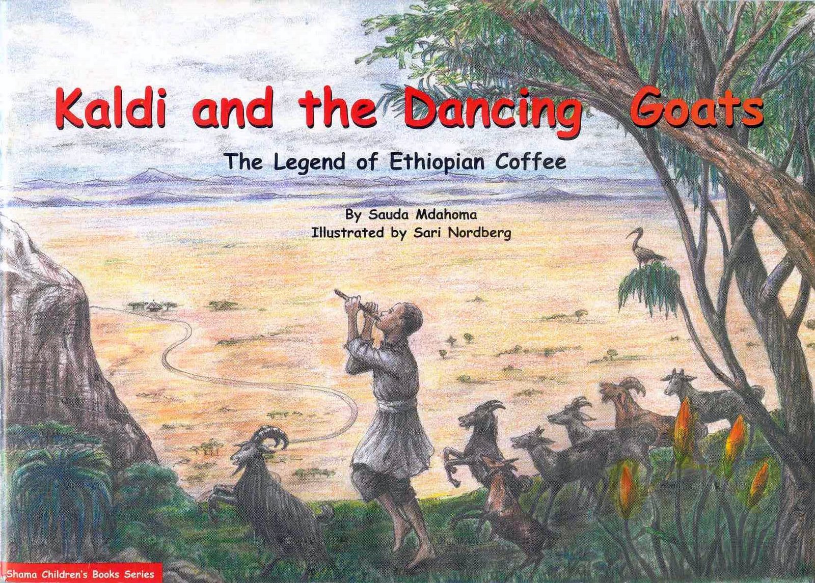 16 curiosidades sorprendentes sobre el café que puede que no conozcas