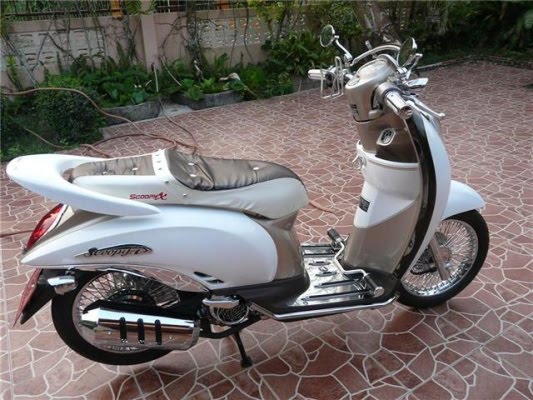 Jok Scoopy Modifikasi modifikasi jok motor jok honda scoopy dan honda vario Jok Scoopy Modifikasi modifikasi jok motor jok honda scoopy dan honda vario