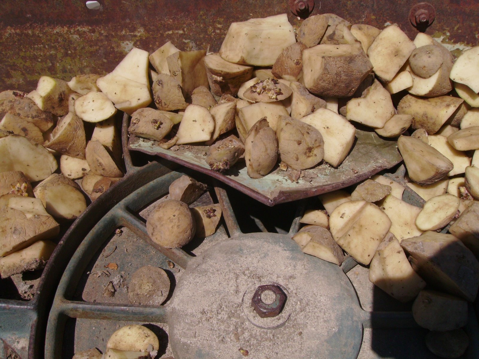 [spring+2009+166.JPG]