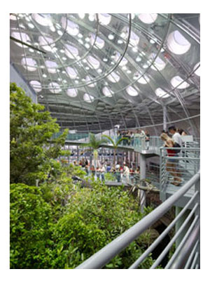 [6_SF-Academy_popup.jpg]