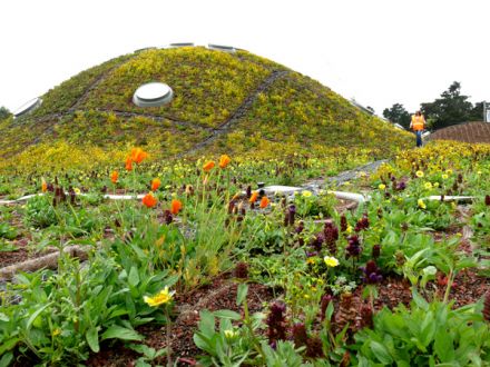 [mus_livingroof2.jpg]