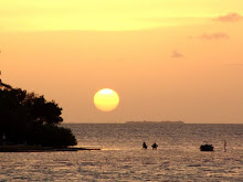 ...la playa...un lugar para vivir...