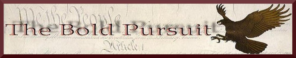 The Bold Pursuit...