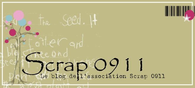 SCRAP 0911