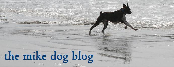 the mike dog blog