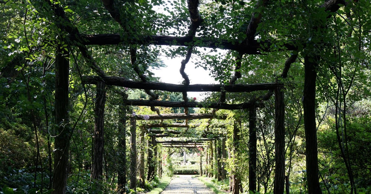 Old Long Island The Rose Garden at 'Westbury House'